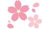 sakura.jpg