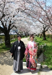 桜08.JPG